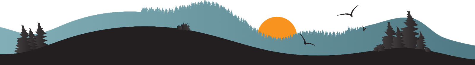 footer bg